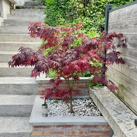 아파트 Maison Cosy, Proche Rouen Avec Terrasse-a 10 Min Du Centre